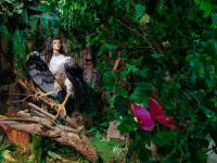 Криптозоологический музей «Бестиарий»