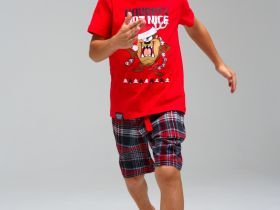 Комплект для мальчиков: фуфайка (футболка) трикотажная, шорты текстильные