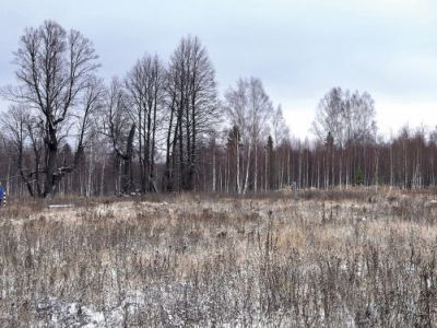 Священная роща «Агырман писте» (Липняк для проведения праздника сохи)