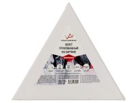 Холст грунтованный на картоне VISTA-ARTISTA 20х17,3 см, треугольный, 280 г, 100% хлопок, среднезерни