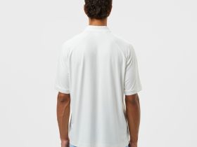 Мужское поло Lacoste из вискозы