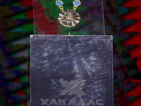 Фоторепортаж: яркие моменты международного турнира «Ханалас хапсагайа»