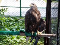 Сахалинский зооботанический парк