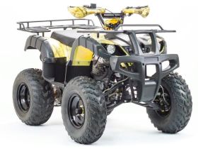 Квадроцикл MOTOLAND 250 Adventure (2021 Г.)