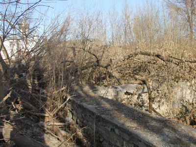 Дом общества крестьян Псковоградской волости