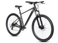 Горный велосипед Benort Vector 29, год 2026, цвет Серый, ростовка 21