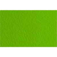 Бумага для пастели Fabriano "Tiziano" 70x100 см 160 г №43 фисташковый