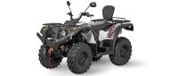 Квадроцикл BALTMOTORS ATV 500/700 EFI Trophy R