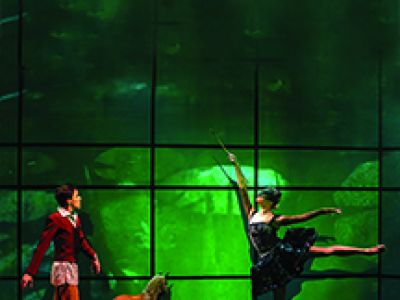 Царевна-лягушка. Мюзикл