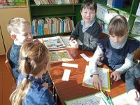 Шелемишевская сельская библиотека