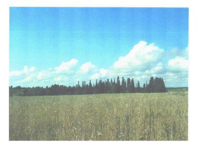 Священная роща