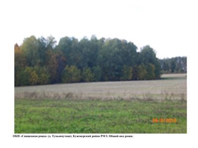 Священная роща