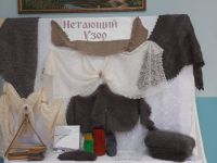 Чесноковская сельская библиотека – филиал № 20