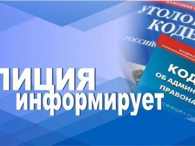 Сводка полиции с 3 по 9 февраля