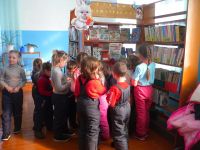 Нижне-Быковская сельская библиотека