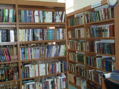 Чемашинская сельская модельная библиотека