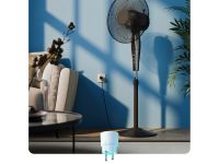 SBDV-00123W белая