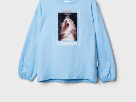 Фуфайка трикотажная для девочек (футболка с длинными рукавами)