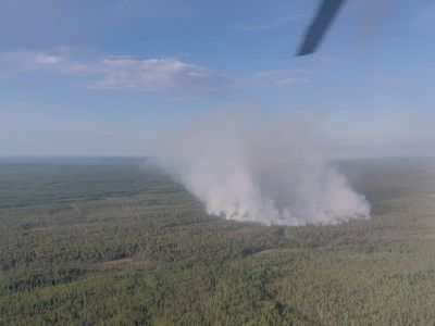 Крупный лесной пожар локализовали в Сунтарском районе