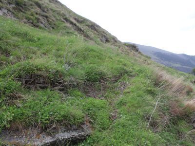 Остатки кладбища