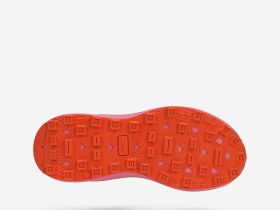 Кроссовки женские Terra Max Nitro W