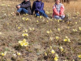 Весеннее пробуждение. Пешая экскурсия по Табагинскому Мысу