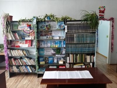 Сокурская сельская библиотека