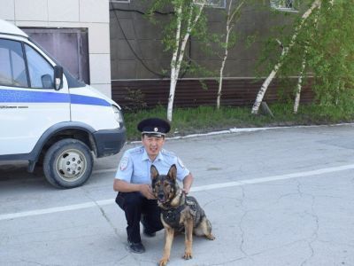 Кинолог Семён Ершов: «Работу, не связанную с животнымии, и представить себе не мог»