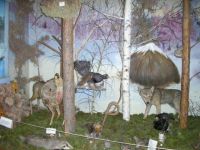 Егорьевский межпоселенческий районный историко-краеведческий музей