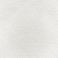 Бумага для акварели "Чайная пастораль" 350х500 мм 200 г Белая