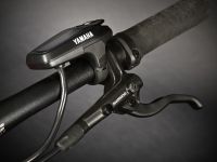 Электровелосипед Haibike Alltrack 6 29, год 2024, цвет Оранжевый, ростовка 18