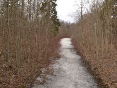 Канал Виттоловский с протокой