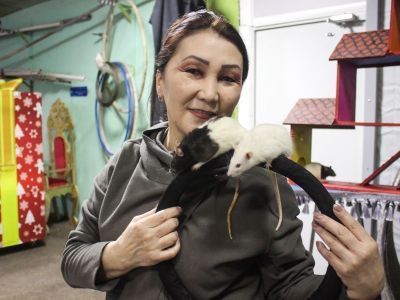 Чистюли, акробаты и просто интересные существа. Дрессировщица крыс о своих подопечных