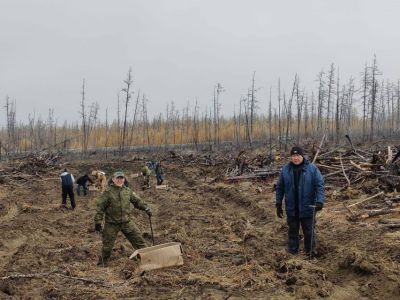 Общественная палата Якутии провела акцию по посадке саженцев в Горном районе