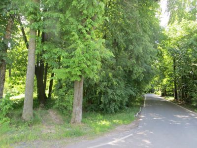 Усадьба "Яковлево": - парк