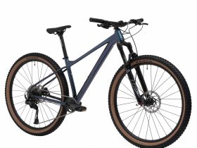 Горный велосипед Welt Rambler 29, год 2024, цвет Серый, ростовка 16