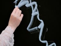 Абразивная бумага для пастели nuance., 500 грит, 54x78 см, цвет Хвоя