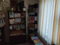 Библиотека-филиал № 27 п. Шапкино