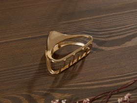 Заколка Cozy Home IV