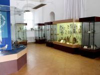 Музей природы Селигерского края