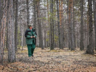 Сбережем природу для будущих поколений. В Якутии отмечается 80-летие лесного хозяйства