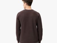 Мужской свитшот Lacoste Regular Fit