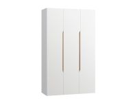 Распашной шкаф Ренар 3-150x250 Белый