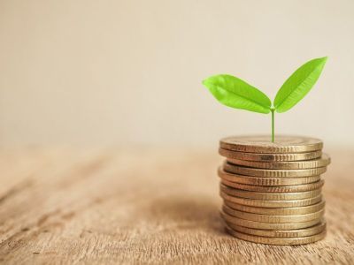 Инвесторы из Китая и Индии заинтересовались проектами на Курильских островах