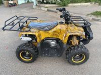 Квадроцикл YACOTA Smarty 110