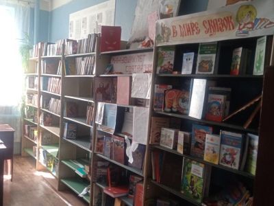 Синеньская сельская библиотека