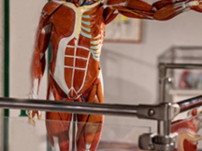 Внутри Человека