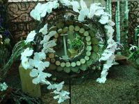 Музей орхидей