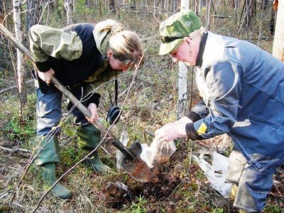 Якутские микробиологи создали эффективный биопрепарат, очищающий почву от нефтяных загрязнений