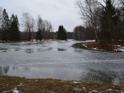 Пруд Нижний  Розовопавильонный с плотиной